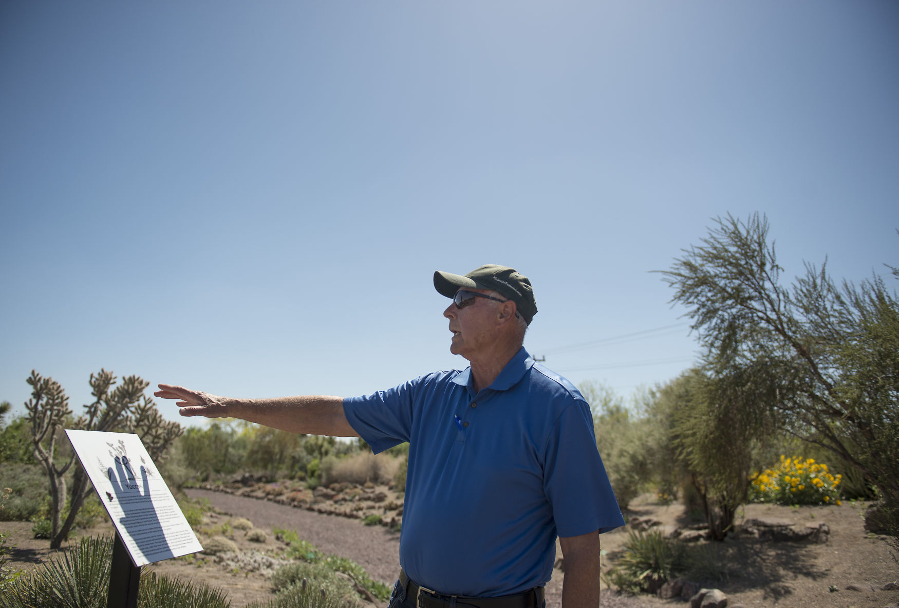 Hidden gem planted in Twin Falls